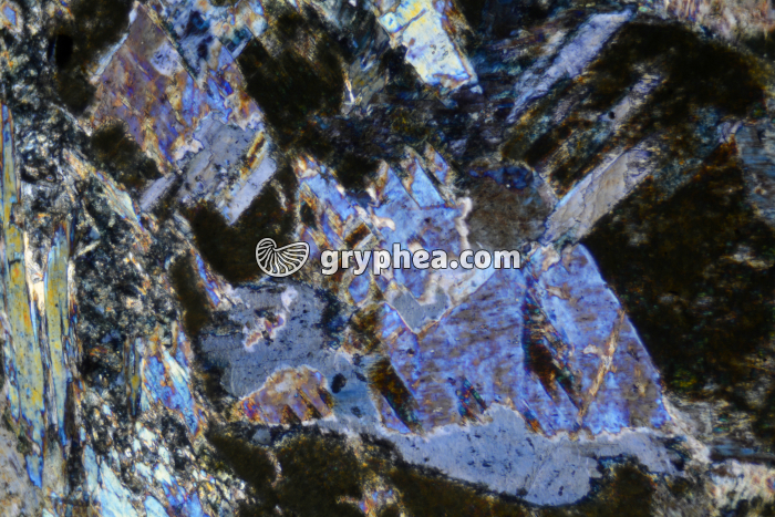Glaucophane LPA x25 - gryphea.com